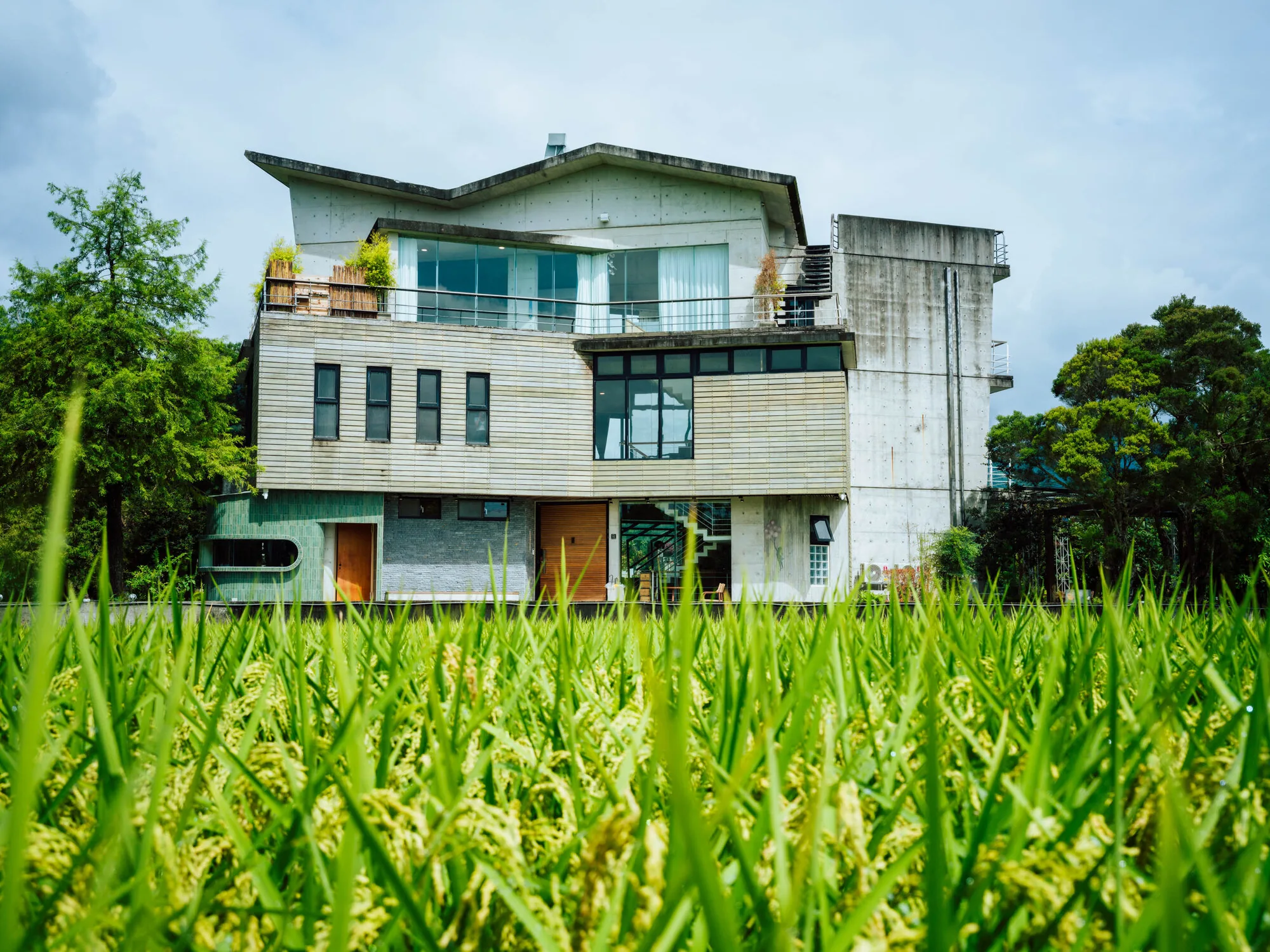 稻田前的建築景觀